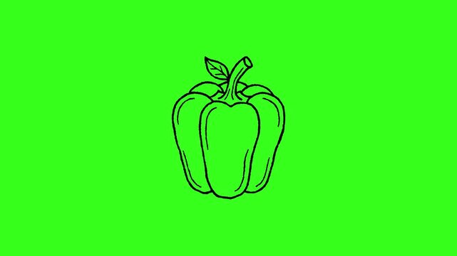Animated bell pepper icon with a hand-drawn effect on a green screen background for motion graphic use