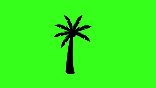 Animated palm tree icon on a green screen background for summer holiday concept