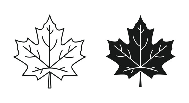 Set of maple leaves icons, outline and silhouette style, vector illustration