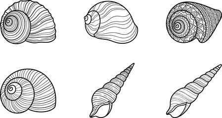 Spiral Seashell Outline Icon Set with Marine Ocean Shell Shapes and Nautical Nature Vector Illustrations © KP Studio