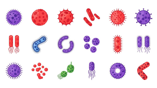 Colorful Bacteria Vector Icon Sheet with Spherical Cocci and Rod Shaped Bacilli Cells Staphylococci Streptococci and E Coli Isolated Flat Icons Set