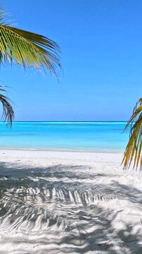 Exotic island with palm shadows and turquoise ocean water. White sand beach with turquoise ocean water, palm tree shadows, and clear blue sky in a tropical coastal landscape.