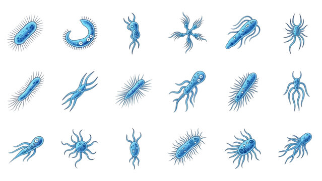 Protozoa Vector Icon Sheet with Colorful Paramecium Euglena Ciliate Flagellate Dynamic Microbe Cells Biology Science Graphics Isolated Flat Icons Set