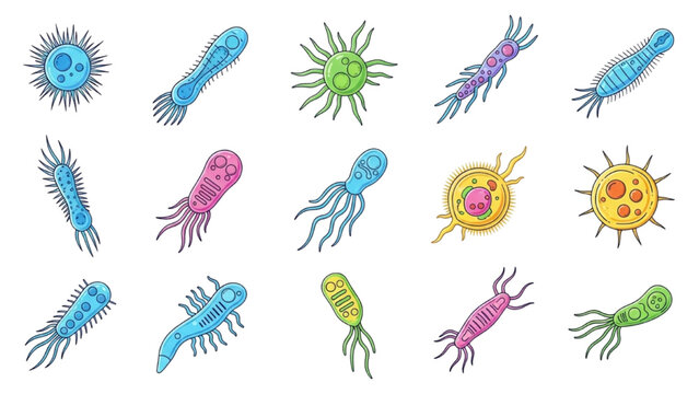Protozoa Vector Icon Sheet with Colorful Paramecium Euglena Ciliate Flagellate Dynamic Microbe Cells Biology Science Graphics Isolated Flat Icons Set