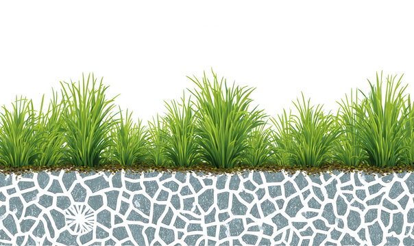 Herbe verte vibrante avec racines expos&eacute;es au-dessus d'une bordure d&eacute;corative en mosa&iuml;que grise