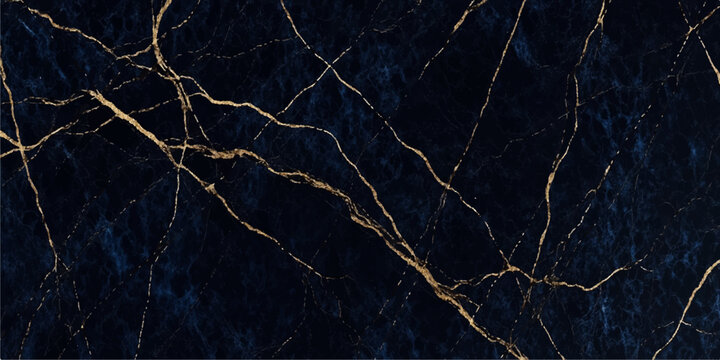 Old Tree Bark Texture with Cracked Rough Wooden Surface Background