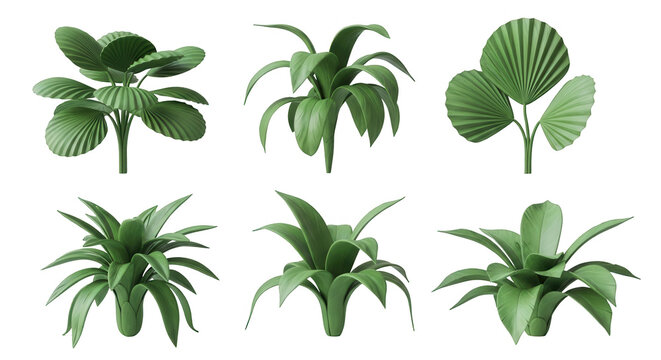 collection of 3d rendered green houseplants isolated against a plain white background decorative and design applications