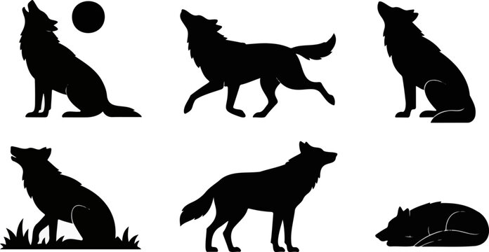 Black silhouette set of wolves in various poses isolated on transparent background for wildlife and nature design projects.