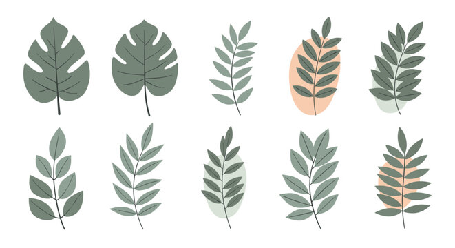 Selection of stylized green tropical leaves like monstera and palm fronds with abstract color blobs in the background.