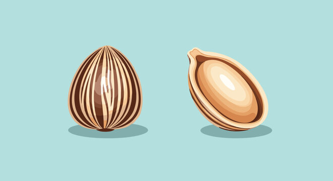 High-quality illustration of a whole sunflower seed with its striped shell and a separate peeled kernel on a soft blue-green background.