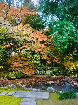 Japanese landscape in autumn 
