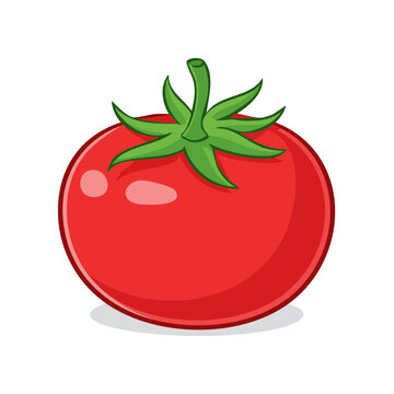 Vibrant Red Tomato with Green Stalk and Leaves Illustration Isolated