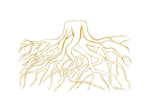 Luxury Gold Tree Roots Line Art on Black Background. Elegant golden tree root system in minimalist line art style. Ideal for branding,tattoo,spiritual themes,wall art, packaging,decorative projects.