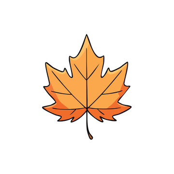 Simple cartoon illustration of a bright orange maple leaf with visible veins and stem