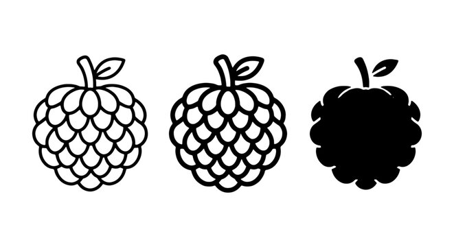 Custard Apple Icons, Cherimoya Fruit Vector Graphics, Sugar Apple Illustrations