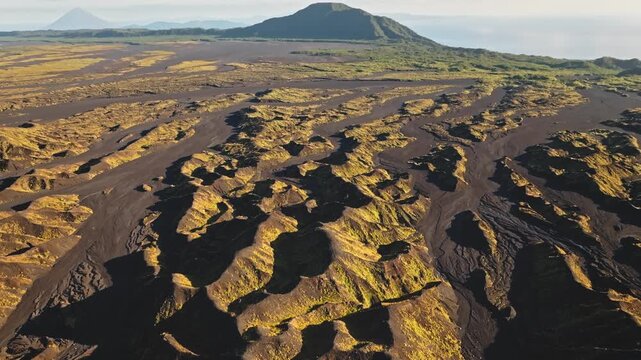 Ambrym Island caldera aerial view showing stark lava fields and patches of fresh green regrowth, a rugged volcanic desert revealing nature's slow regeneration after eruptions. Aerial drone flight