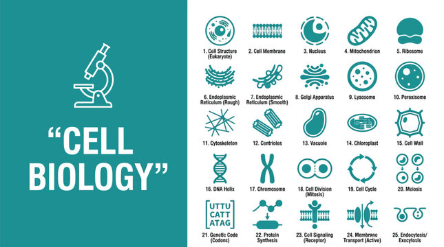 Detailed educational photograph displaying a collection of various microscopic cell biology icons for scientific study purposes
