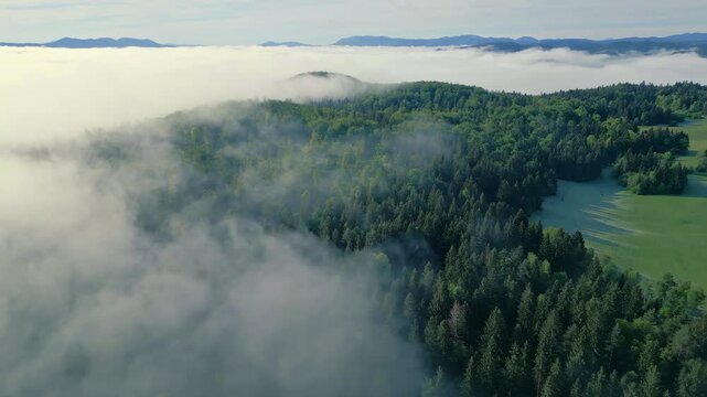 A serene landscape unfolds from high above, revealing a lush forest blanketed by drifting clouds, dense trees meet soft mist, creating a breathtaking scenery.