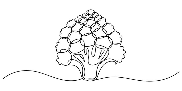 Continuous one line drawing of a simple broccoli vegetable