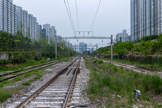철도, 기차, 레일, 교통, 여행, 길, 라인