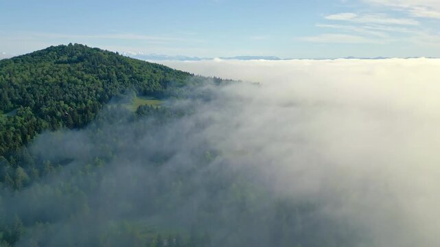 Pan across an aerial view, revealing a serene landscape where lush forests meet soft clouds, evoking tranquility in a breathtaking scenery.
