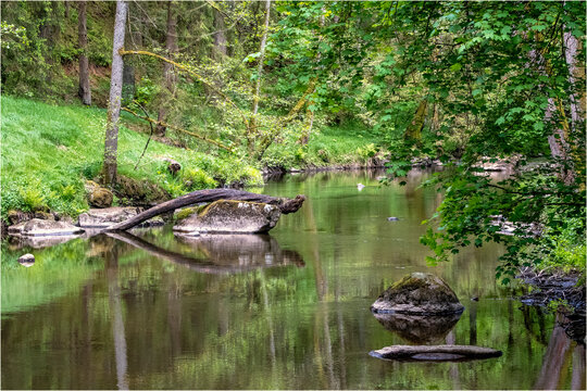 Waldnaab