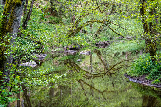 Waldnaab