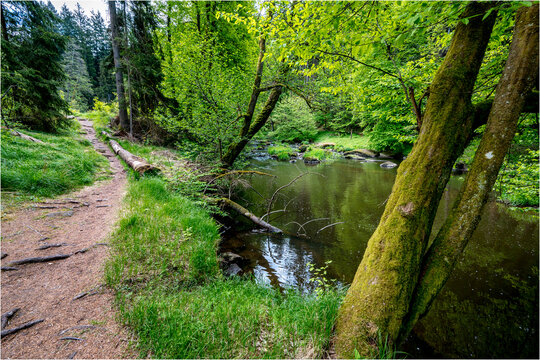 Waldnaab Wanderweg