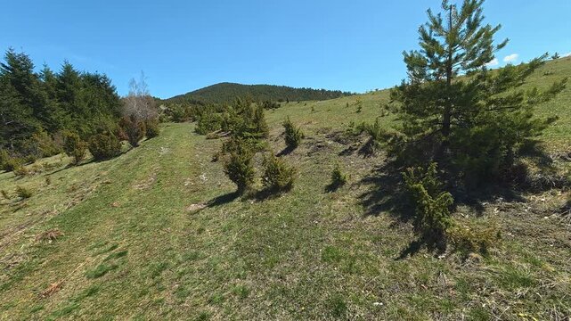Fresh green grass lines a gentle hillside. Mount Goc, Ljukten peak. Balkans, Serbia