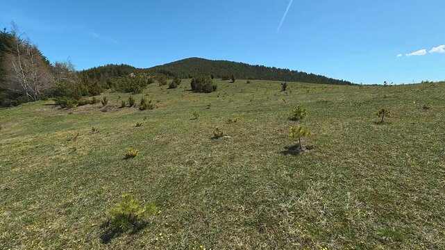 Slopes stretch under bright blue sky. Mount Goc, Ljukten peak. Balkans, Serbia
