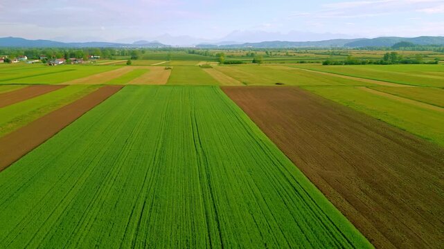 From an aerial view, the vast landscape unfolds with vibrant green fields, bordered by distant mountains and scattered forests showing the tranquility of rural nature.