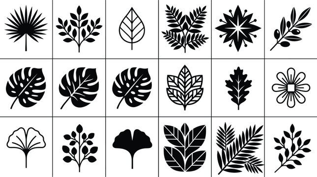 Black silhouette vector set of botanical leaves and flowers icons including monstera ginkgo palm oak fern and olive branch for organic nature design elements.