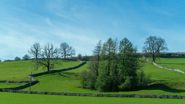 A landscape with hills, green fields, trees, and stone walls on a sunny day with a clear blue sky, lake district