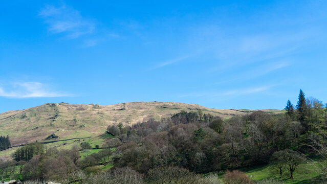 A forest and a green hill in the distance against a blue sky. Trails through the forest and up the hill for hiking on a sunny day