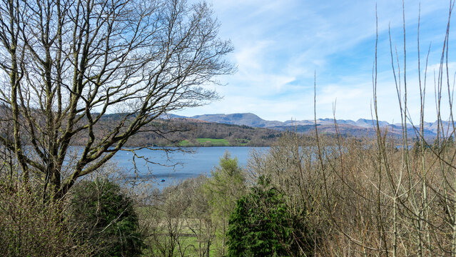 A forest landscape on a mountainside near a lake. Lakes in a mountainous area near a wooded hill, Lake district