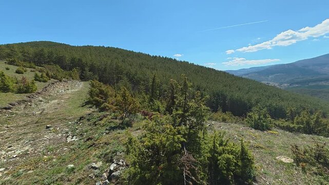 Sunlit hills roll beneath a clear blue sky. Mount Goc, Ljukten peak. Balkans, Serbia