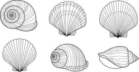 Hand Drawn Linocut Style Ocean Seashell Icon Set with Bold Outlines and Detailed Textures for Summer Branding and Coastal Logo Designs © Sohel
