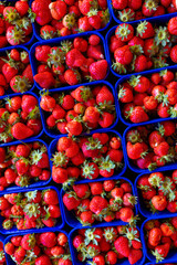 Fresh strawberries  © Eugen