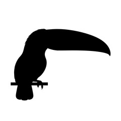Fototapeta premium Black silhouette of a toucan bird.
