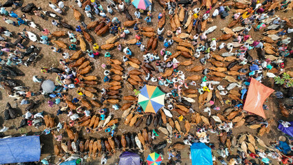 Aerial view of crowded cattle market in bangladesh © Toufiqul