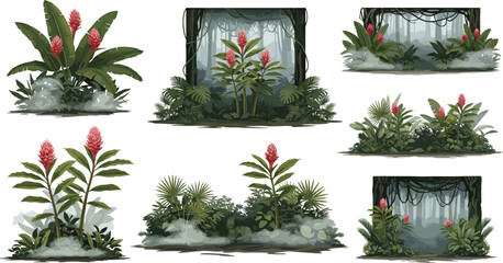 Tropical jungle landscape arrangement vector set featuring pink torch ginger flower bushes isolated on white background © MdNipon