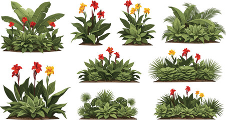 Tropical garden shrubs and canna lily flower bushes vector illustration collection isolated on white background © MdNipon