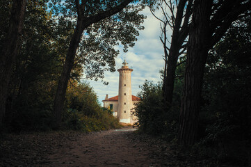 Obraz premium Old Punta Tagliamento Lighthouse Framed By Pine Forest Trees – Bibione Coastal Landscape