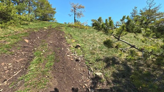 Sunlit hillside path winds through green grass. Mount Goc, Ljukten peak. Balkans, Serbia