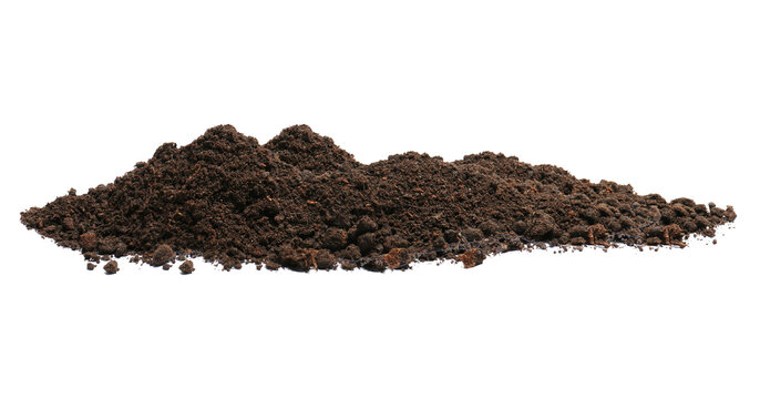 Soil Banner side view - Transparent PNG Background