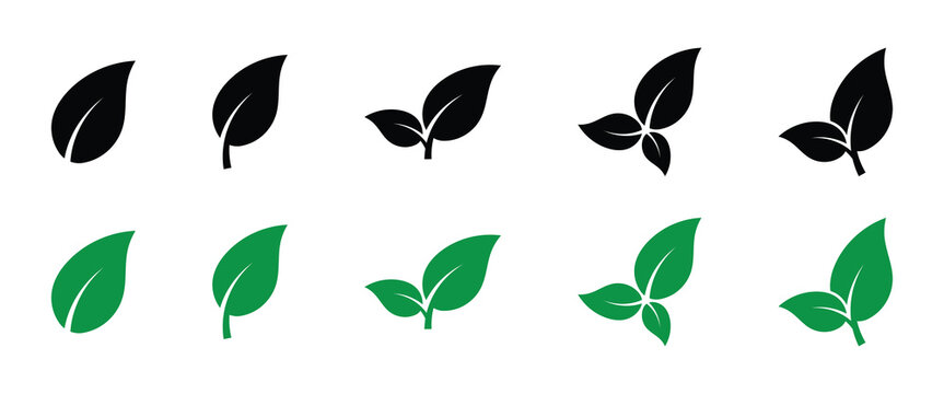 Minimalist Bio Leaf Icon Vector in Clean Modern Geometric Style.  Set of green leaf designs with flat power. Simple leaf illustrations.  Leaf vectors, nature theme. eps10.

