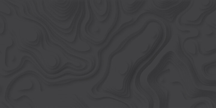 Abstract wavy line paper cut black and gray background. vector natural shadow papercut web topography map spiral line. Topographic geometric map relief texture with curved layers. Origami relief map.