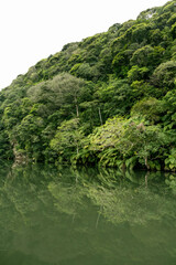Obraz premium Iriomote Island in Japan