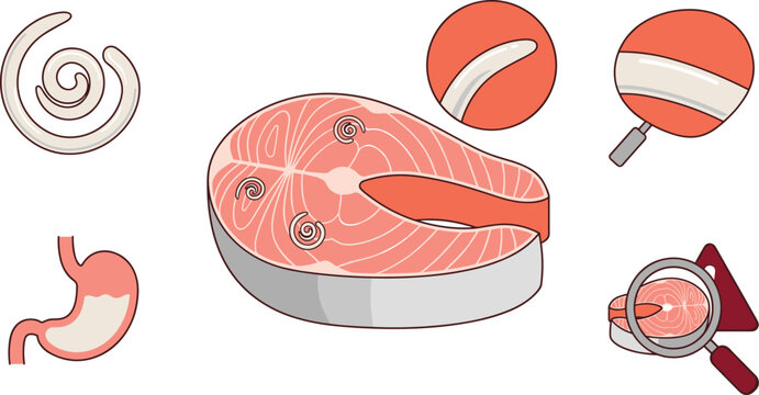Raw Salmon Fish Steak Vector Infographic Set Showing Anisakis Parasite Worm Contamination Food Safety Hazard Warning and Stomach Infection Icons