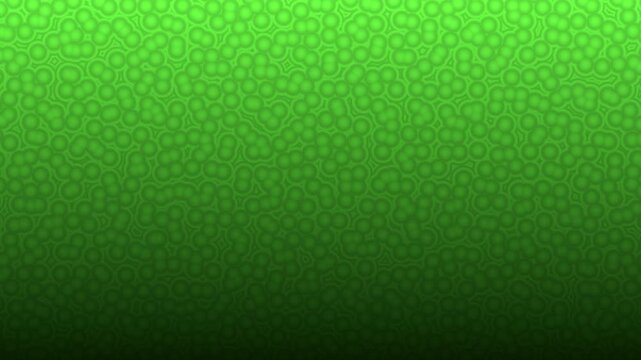 Green Behongo Gradient Animation with Dense Micro Bubble Texture